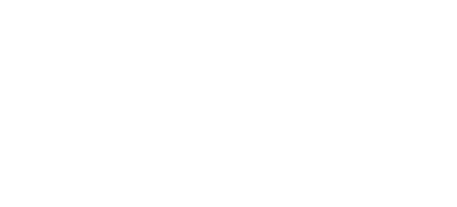 Stealth Search and Analytics Logo